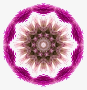 This Free Icons Png Design Of Wildflower Kaleidoscope #1905924