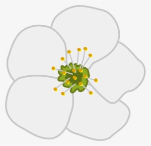 How To Set Use Cherry Flower Svg Vector #1906333