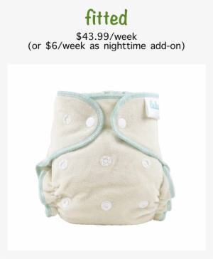 Cotton Fitted Diaper Service - Diaper #1906478