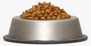 Dog Food Bowl Png - Dog Food Bowl Transparent #1906779