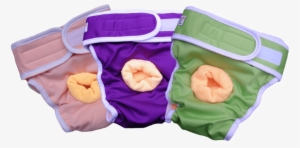 Diaper Png Picture - Incontinence Pads For Dogs #1906926