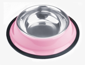 4oz - Brybelly 4oz. Blue Stainless Steel Dog Bowl #1906953