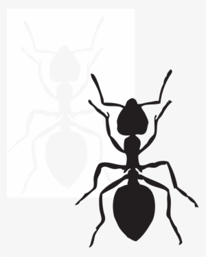 Blindfold - Black Ant Clip Art #1907096 Blindfold - Black Ant Clip Art #1907096