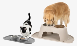 The High Feeding System - Dog #1907250