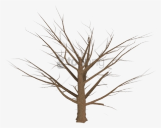 Grasses Drawing Dead Grass - Dead Plqnts And Clipart Transparent Background #1907509