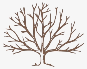 Partes Del Árbol Frutal - Draw A Winter Tree #1907625