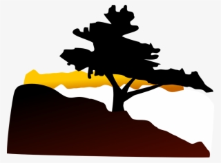 Small - Bonsai Tree Clip Art #1907732