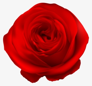 Garden Roses Blue Rose Clip Art #1912086