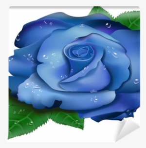 Hd Beautiful Blue Rose #1912394