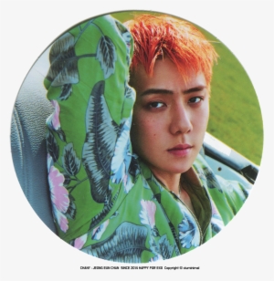 170907 'power' Merchandise Credit - Exo Sehun Head Transparent #1914121