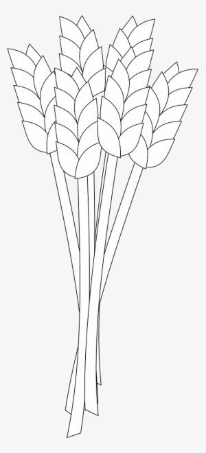 Vector Graphics, - White Wheat Png #1914511 Vector Graphics, - White Wheat Png #1914511