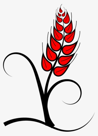 Grain Clipart Vector - Holy Communion Png #1914563