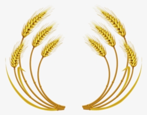 Free Download Wheat Vector Clipart Wheat Clip Art - Wheat Vector #1914878 Free Download Wheat Vector Clipart Wheat Clip Art - Wheat Vector #1914878