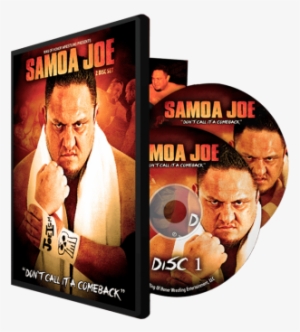 Don't Call It A Comeback - Ring Of Honor #1914934