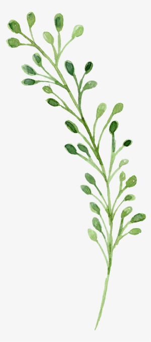 Watercolor Painting Green - Watercolor Green Flowers Png #1916074