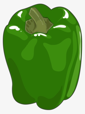 Pepper - Green Bell Pepper #1916460