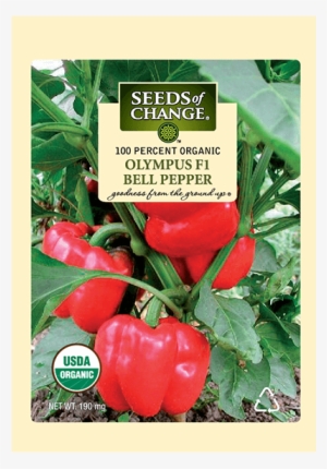 Organic Olympus F-1 Sweet Pepper Seeds - Seeds Of Change 21076 Organic Zesty Cln Quinoa Blend #1916582