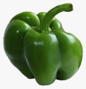 Bell Pepper #1916602