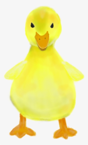 Source - - Duck #1917267