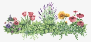 Gj Flower Border Clipart, Pictures To Draw, Watercolor - Lavender Clip Art #1917772