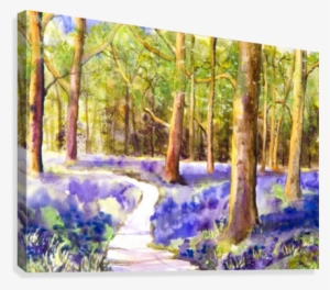 Bluebell Wood Canvas Print - Painting #1918471