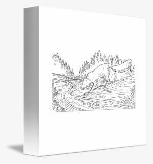 Svg Library Stock Fox Drinking River Woods Black And - Drawing #1918497