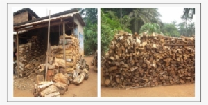 Woods Displayed For Sale - Sales #1918889