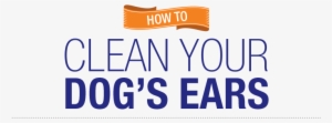 Ear Cleaning Is An Essential Part Of Your Dog's Basic - Electric Blue #1919994