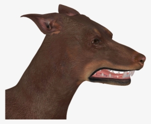 Rigged Ears - Portable Network Graphics #1920214