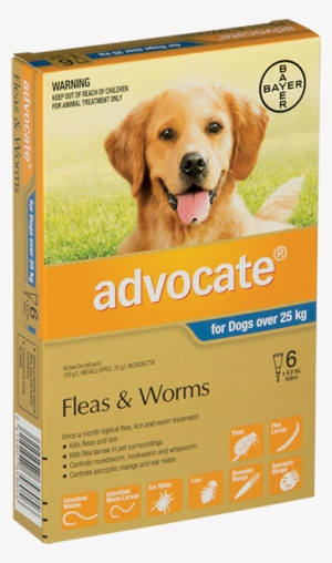 Advocate® Xl Dogs - Combined Dog Worm And Flea Treatment #1920282