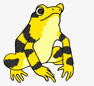 Frogs Clipart Amphibian - Panamanian Golden Frog Cartoon #1920499