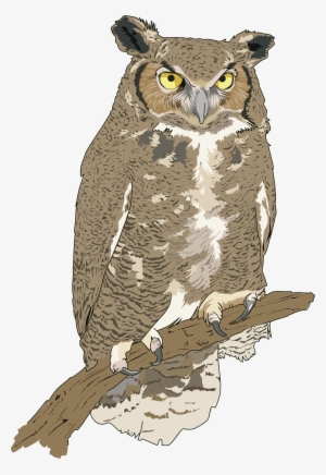 Cut Clipart - Realistic Owl Clip Art #1920647