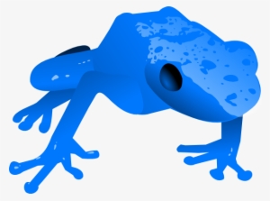 Endangered Blue Poison Dart Frog Svg Clip Arts 600 #1920899