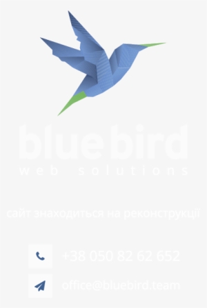 Bluebird Systems Inc. #1920920