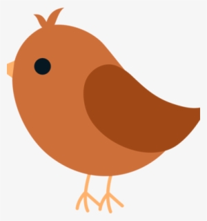 Orange Bird $500 - Bird Clip Art #1921400