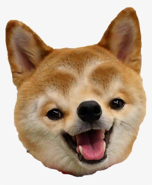 Doggo Transparent - Transparent Background Doggo Png #1921619