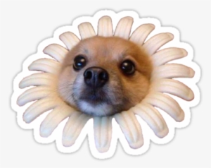 Flower Doggo" Stickers By Elise Vermeer - Flower Doggo #1921709