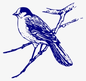Blue Bird Png - Blue Bird Images Free #1921712