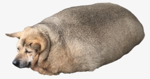 Cutout - Meme #1921840