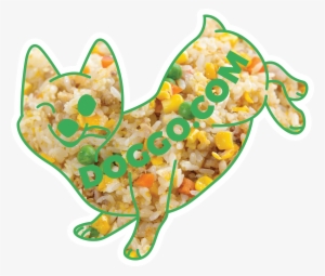 Typefaces - Cat #1921904