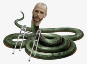 Image - Harry Potter Nagini Png #1921935