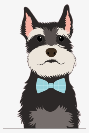 Pet Boarding & Pet Grooming In Lutz Florida - Cafepress Schnauzer Iphone 6 Tough Case #1922061