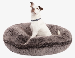 Build Your Own - Companion Dog #1922255