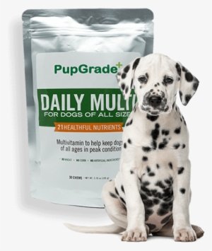 Dog And Pupgrade Multi - Dalmatian Dog #1922360