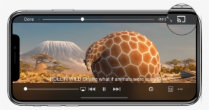 Chromecast Support - Жираф После Нового Года #1922717