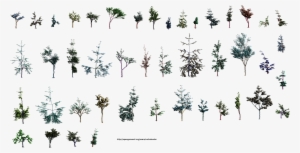 Hjm Small Trees Sideview V2 Alpha - Palm Tree #1925048