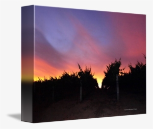 Sunset By Richard Thomas - Drawing #1925276