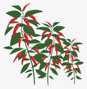 Image Is Not Available - Chilli Peppers Tree Png #1925360