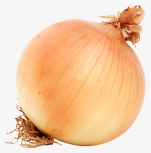 Jpg Brown Onion Png Image - Png Image Of Onion #1925741