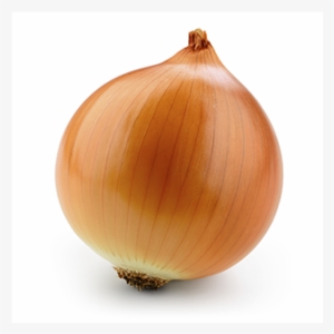 Empowering Business Aweta Has The Best Weight Accuracy - Stock Photography #1925784